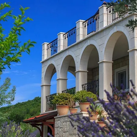 Villa Residencia